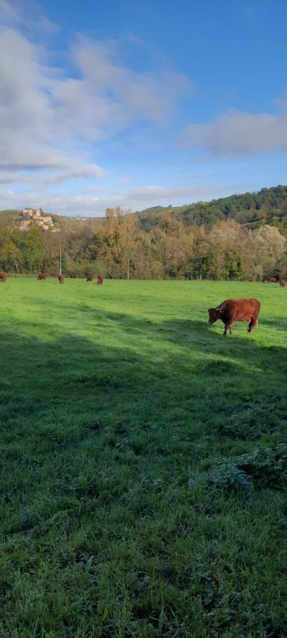 Le Cocon Beaujolais Βίλα Chatillon  Εξωτερικό φωτογραφία