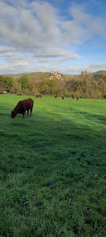 Le Cocon Beaujolais Βίλα Chatillon  Εξωτερικό φωτογραφία